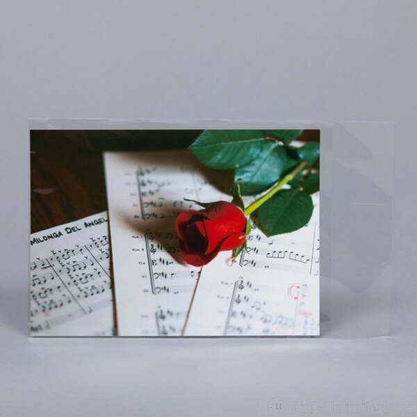 Clear Polypropylene Sleeves 5 x 7".